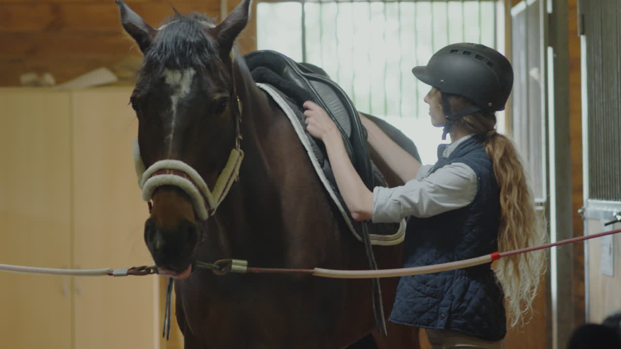 Woman Saddling Horse in Stable before Ride