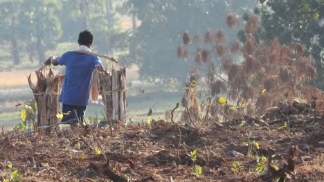 man collect and taking some wood to burn to cook food