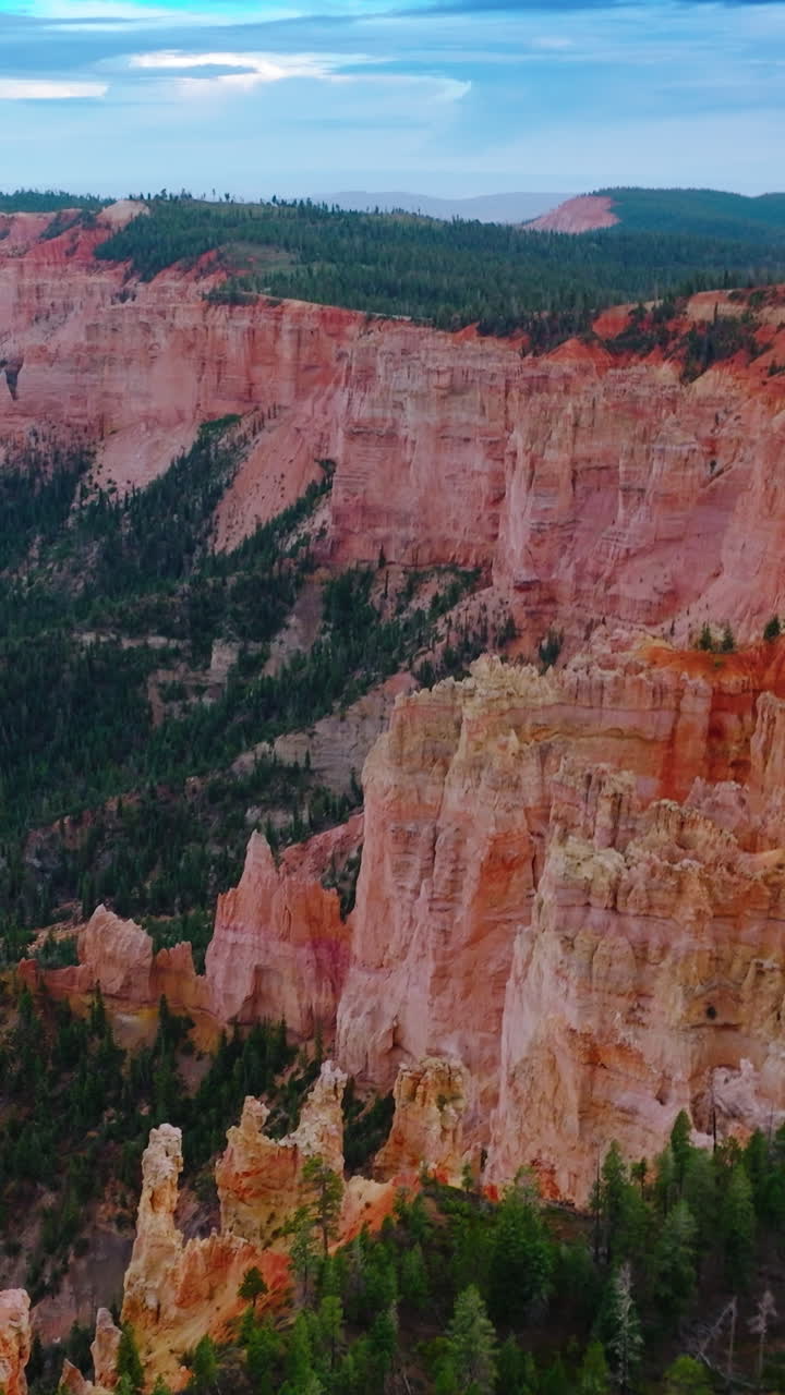Sheer cliffs of wonderful canyons rising over the pine tree woods. Blue skies with clouds at backdrop. Aerial view. Vertical video