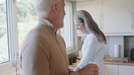 Pareja-Caucásica-De-Mediana-Edad-Lavando-Platos-En-La-Cocina-De-Casa,-Cámara-Lenta