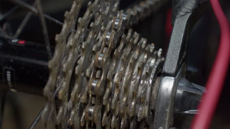 la rueda trasera de la bicicleta gira lentamente en la tienda, el cassette trasero debe limpiarse