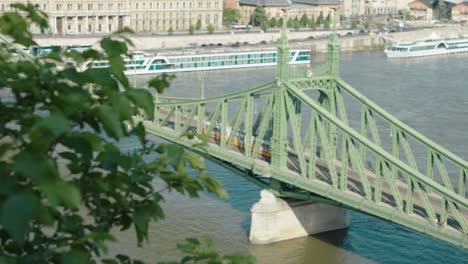 budapest liberty bridge from the hill