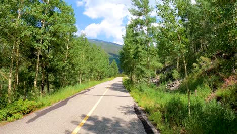 ciclismo a lo largo de un sendero natural en las montañas rocosas de colorado en verano a lo largo de un río