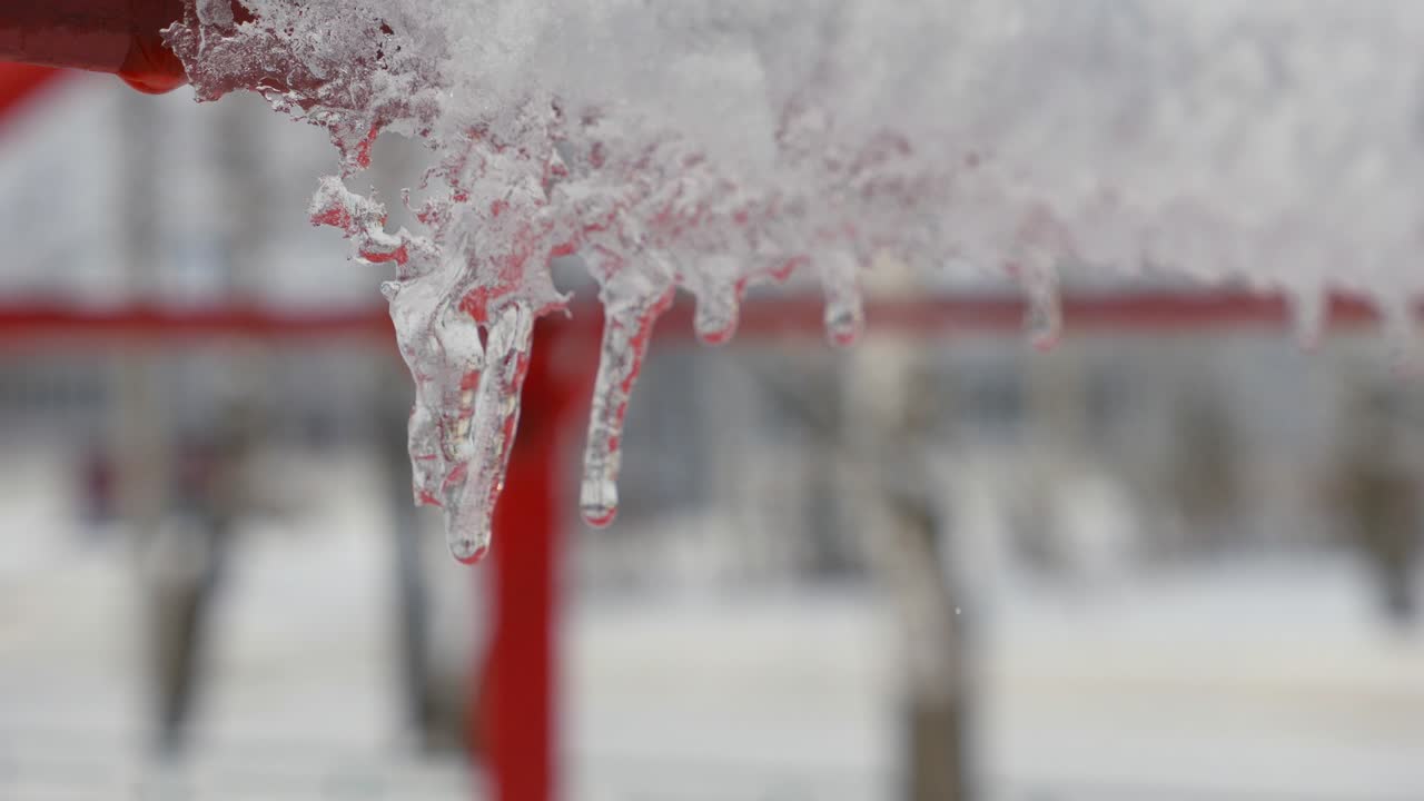 스프링 드롭, 아이스클