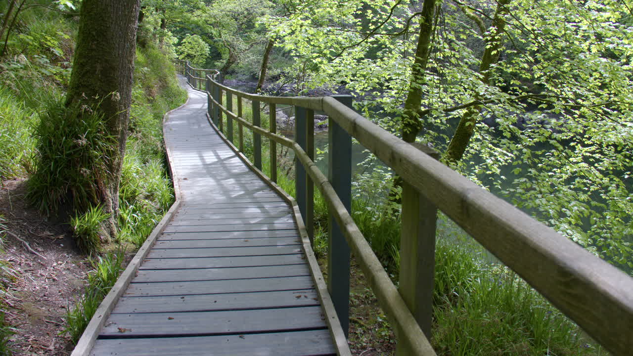 Slow zoom on the Boardwalk next to the river Teifi at Cenarth Falls