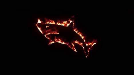 Shark-on-fire-and-burning-effect-with-black-background