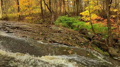 cinematic forest mountain river stream in autumn season