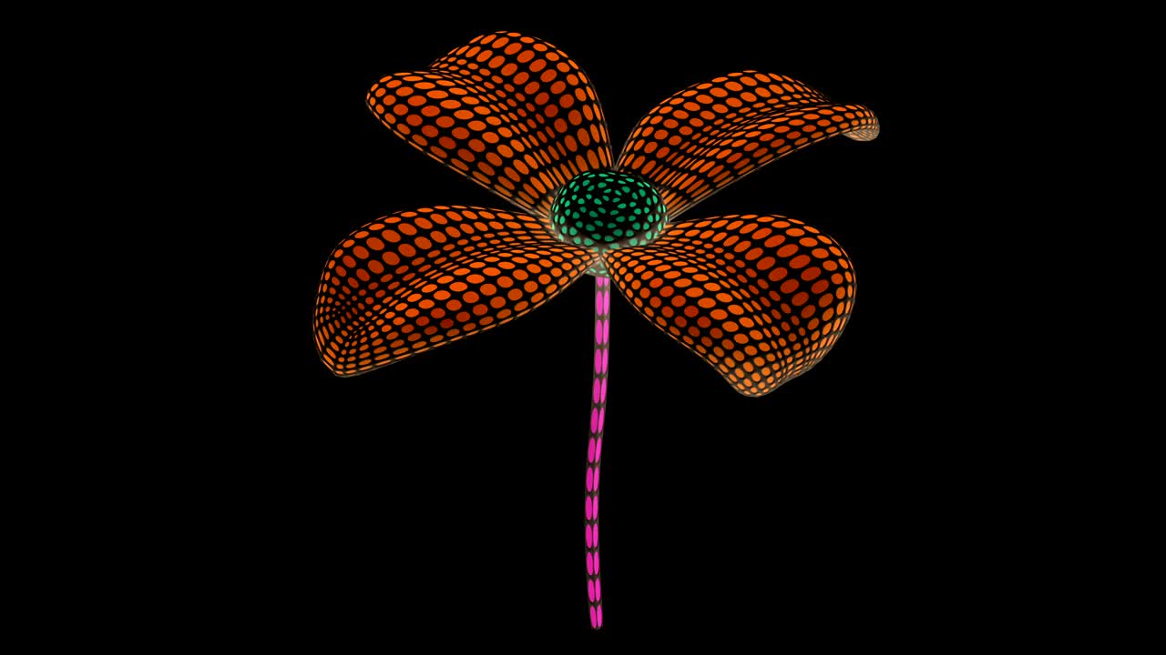 루프 영상은 4k 해상도를 가지고 있습니다.