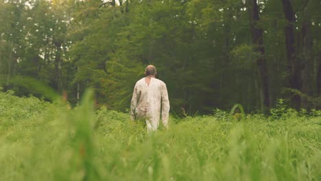 man walking in a forest