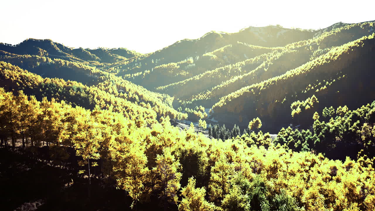 Golden trees bathe in sunlight across rolling hills during autumn