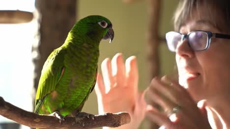 a vibrant green parrot engages playfully with a woman, capturing a moment of connection and joy in a sunlit, natural environment