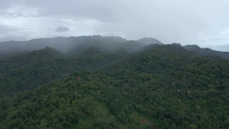 Aerial-drone-shot-of-endless-woodland-overgrown-on-the-hills