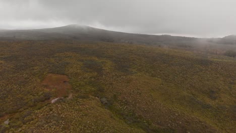 las laderas del monte kenia a 2800 m sobre el nivel del mar, durante un día nublado
