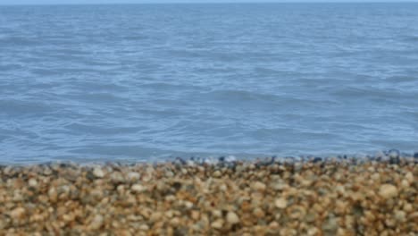 Calm-sea-surface-on-background-sandy-and-rocky-shore.-Beautiful-sea-landscape