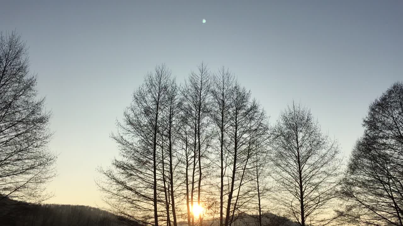 이른 봄 시즌, 일몰에서 오는 아름다운 빛과 함께 숲길을 걷다
