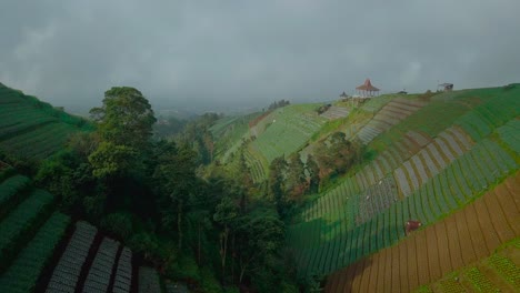 Video-Aéreo-De-Hermoso-Patrón-De-Vegetales-En-Terrazas