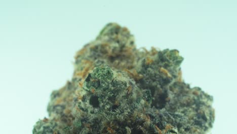 Macro-Primer-Plano-De-Una-Flor-De-Roca-De-Marihuana-Sativa-Super-Limón-Amnesia-Haze,-Kush-Amarillo,-Verde-Y-Púrpura,-En-Un-Soporte-Giratorio-360,-Video-De-Cámara-Lenta-4k