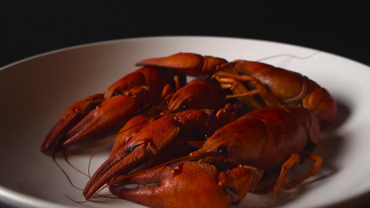 Close up view of freshly cooked red crayfish or lobsters on a white platter plate put in front of a black studio background. The delicious delicacy crab has visible claws and strong shell on them