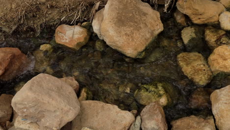 Clear-stream-flowing-over-rocks-in-the-Oasis-of-Sbeitla,-sunlight-reflecting-on-the-water's-surface,-tranquil-nature-scene