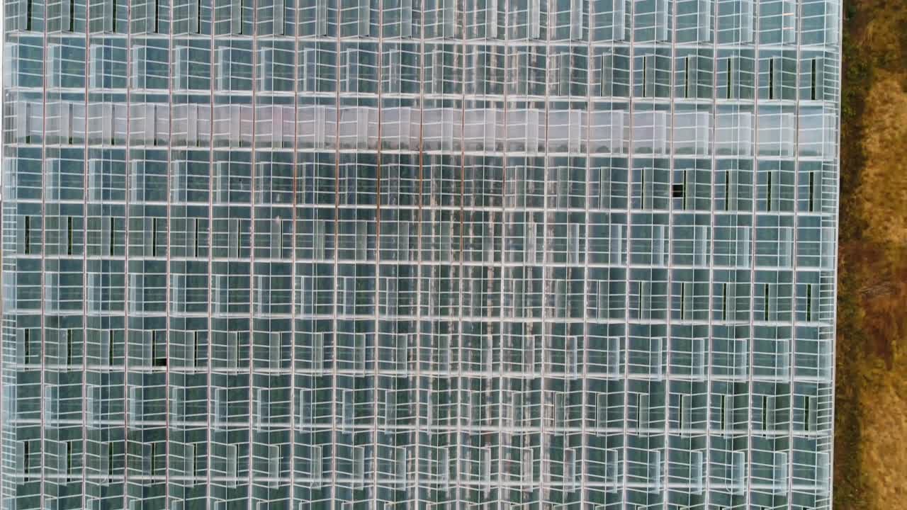 granja verde cubierta con vidrio en el techo 4k