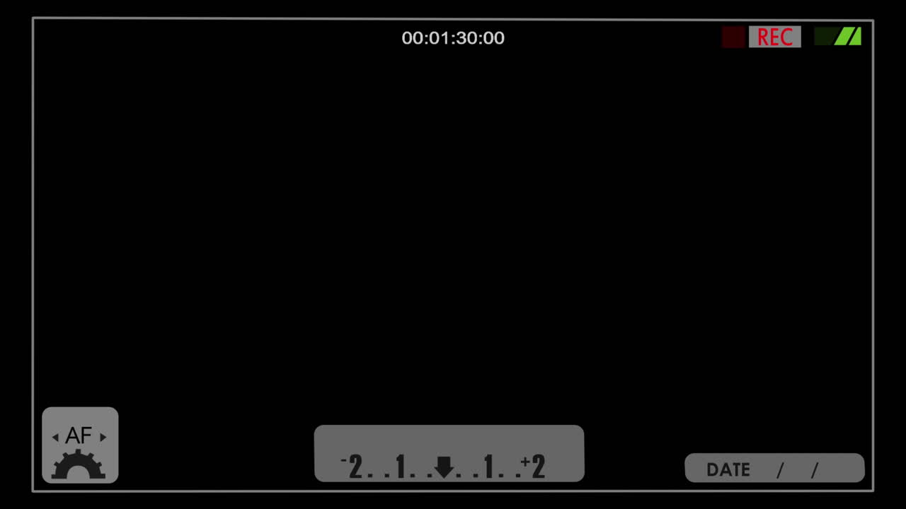 Digital Camera Recording Interface with Timecode and REC Indicator