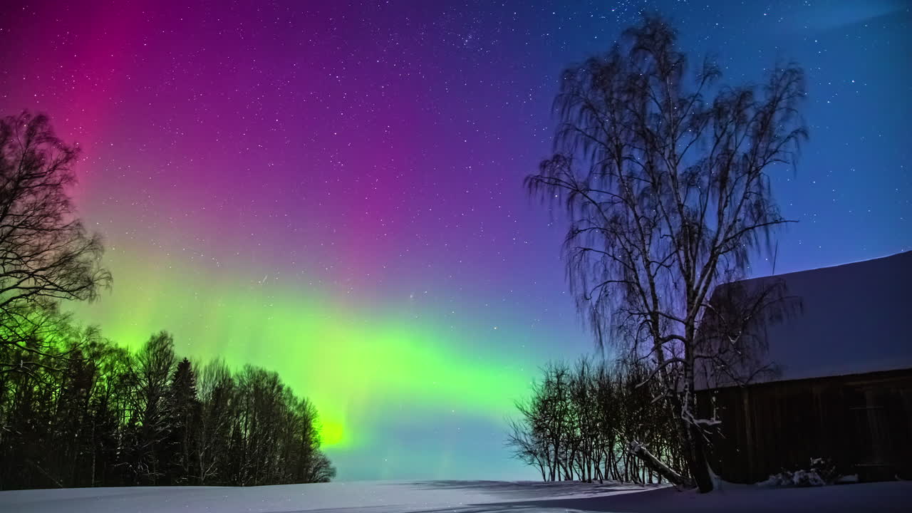 un hermoso cielo de color púrpura con la luz verde danzante de la aurora boreal en el cielo invernal