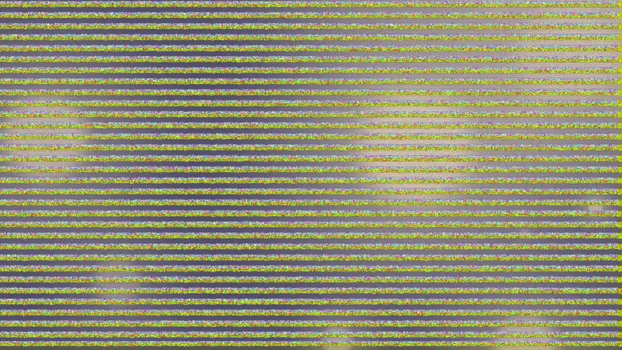 Animation of glitch interference over glowing spots on black background