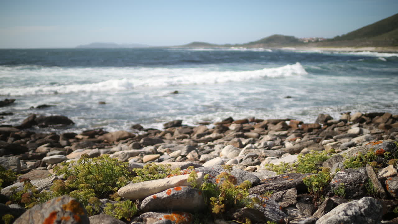 플라야 스톱모션 00