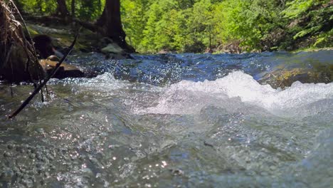 river between the mountains surrounded by forest