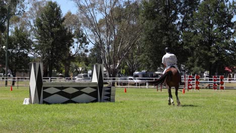 horse and rider jumping over obstacles in arena