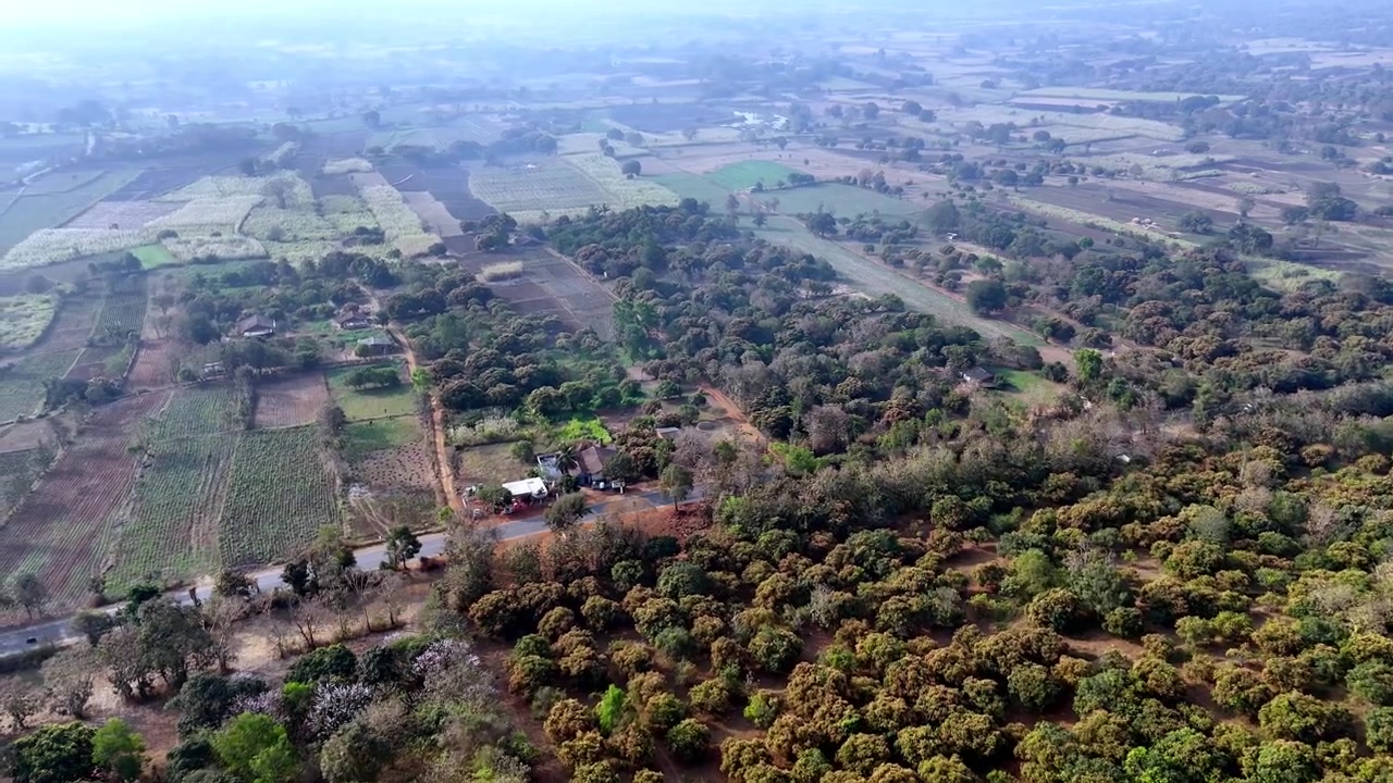 Ampia ripresa aerea cinematografica di Mollem che mostra terreni agricoli con texture, gruppi di alberi e paesaggi rurali rustici illuminati da una luce diurna soffusa dall'alto