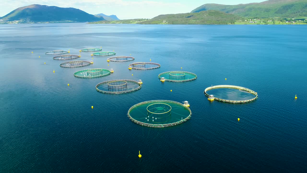 노르웨이에서 연어  ⁇ 시를 하는 공중 촬영