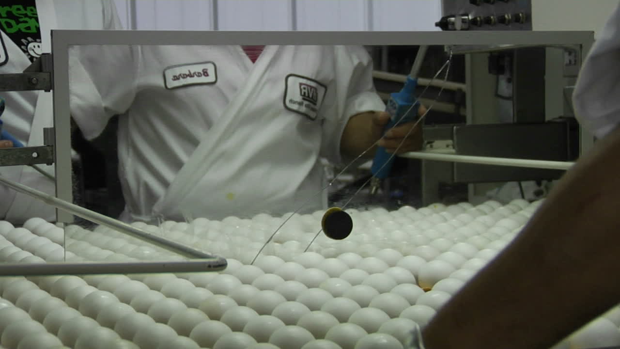A worker sorts eggs in a factory