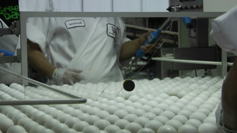 a worker sorts eggs in a factory