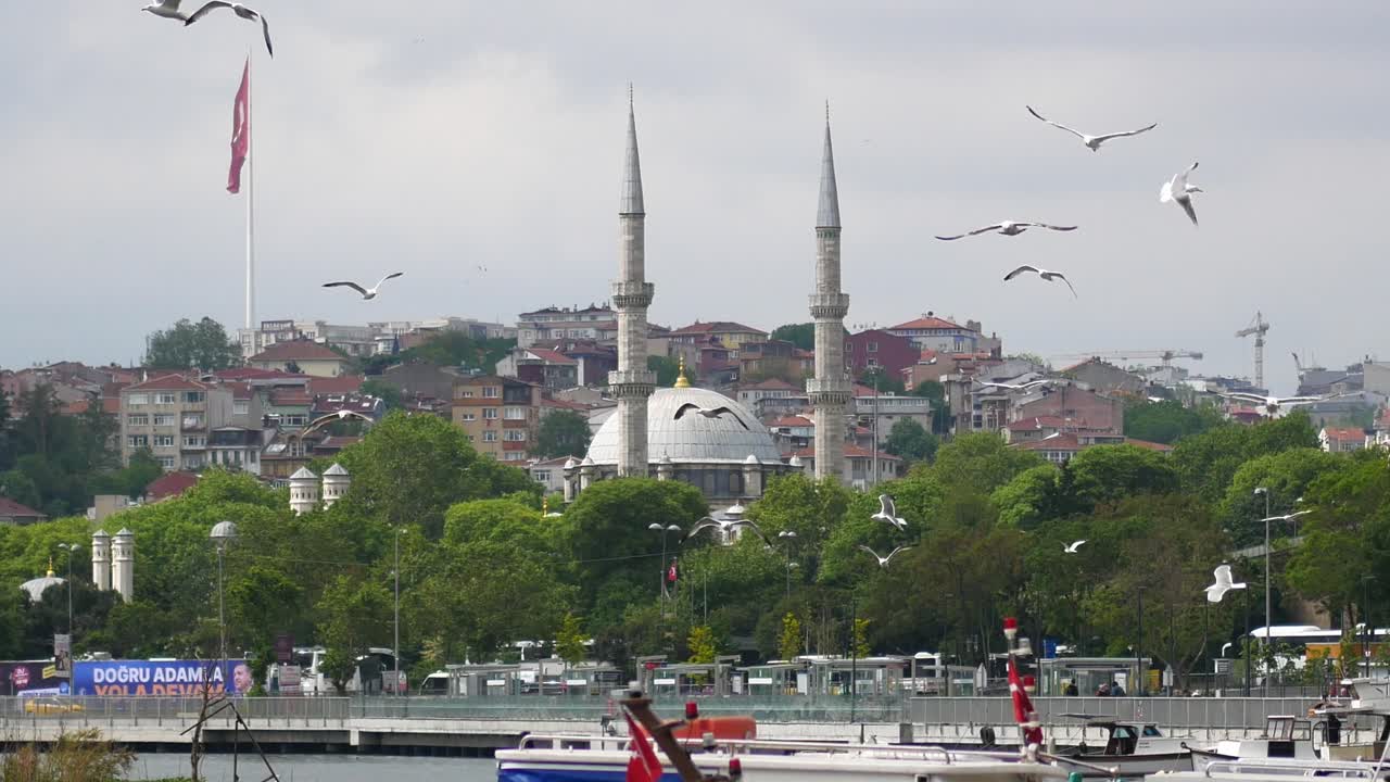 mezquita de estambul con gaviotas y paisaje urbano
