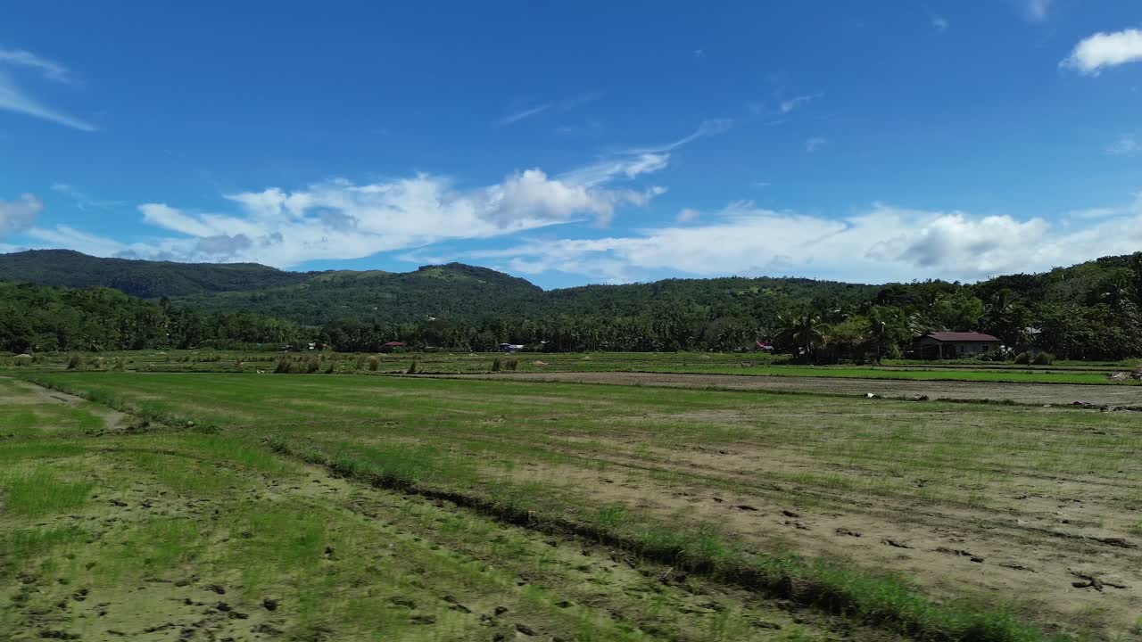 Vídeo aéreo con dron de campos de arroz verdes en Odiongan, en la isla de Tablas (Filipinas), que muestra tierras de cultivo con montañas y colinas onduladas al fondo en un día soleado y luminoso