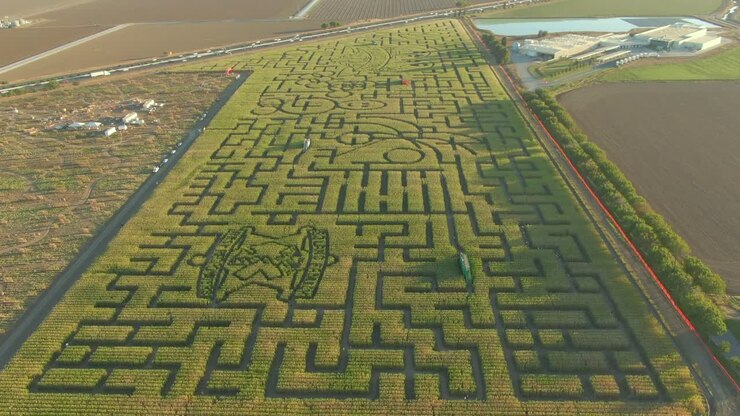 Guinness Book of World Records largest corn maze in Dixon California entire maze drone view