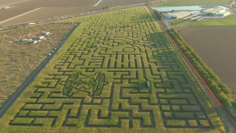 Libro-Guinness-De-Los-Récords-Mundiales-Laberinto-De-Maíz-Más-Grande-En-Dixon-California-Todo-El-Laberinto-Vista-De-Drones