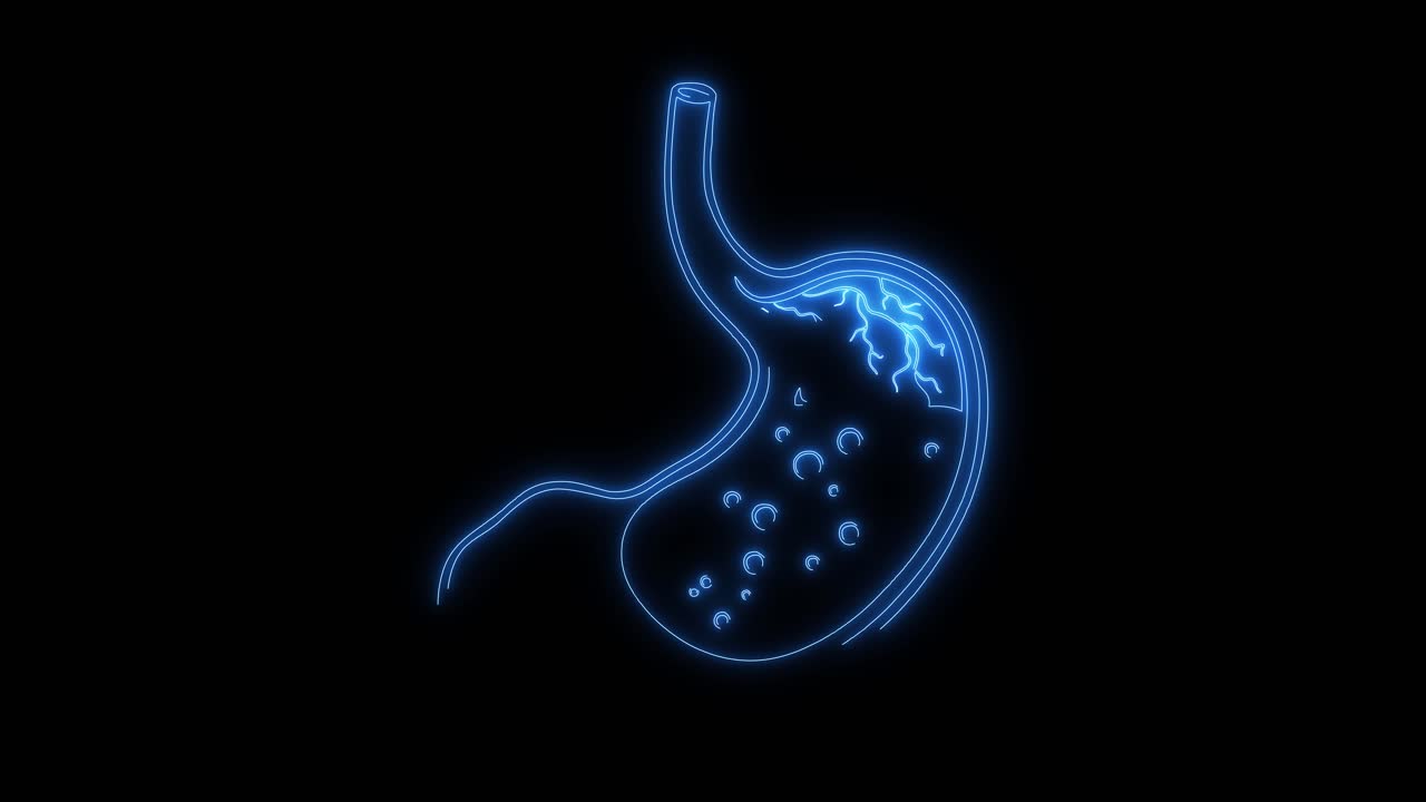Contorno animato blu neon dello stomaco umano con attività digestiva