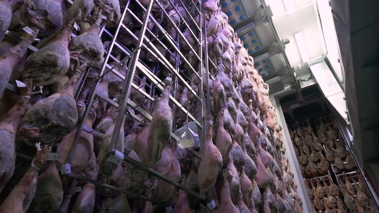 Jamon serrano pig legs factory hanging in a industry. Iberian ham elaboration process