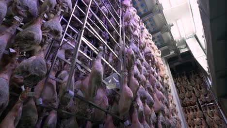 jamon serrano pig legs factory hanging in a industry. iberian ham elaboration process