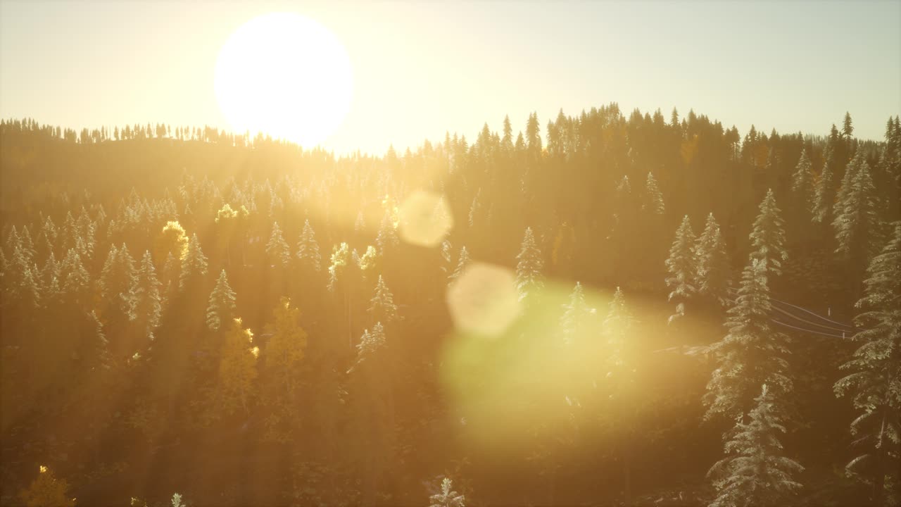 восход солнца в осеннем лесу