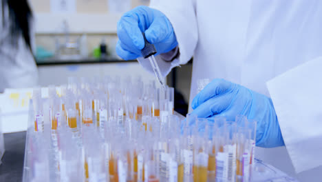 el médico examine el plasma sanguíneo en el banco de sangre 4k