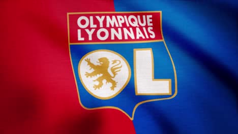 olympique lyon flag