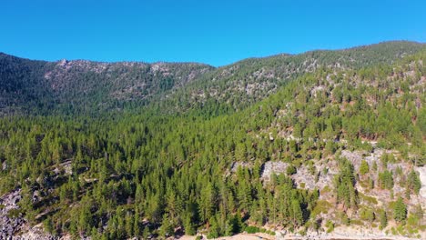 Camiones-Conduciendo-A-Través-De-Espesos-Bosques-De-Pinos-O-Bosques-En-Las-Montañas-Del-Lago-Tahoe-En-Las-Colinas-De-Sierra-Nevada-Con-Vegetación-Exuberante---Toma-Aérea-De-Drones