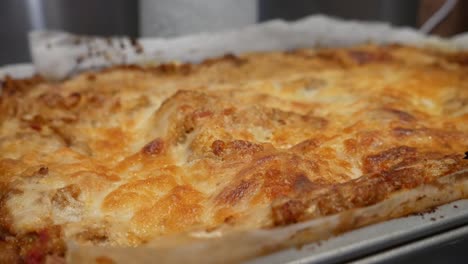 freshly baked lasagne, still hot