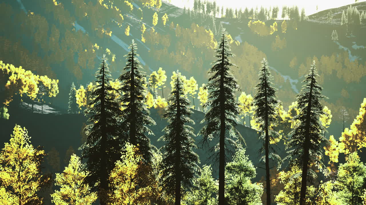 Vibrant autumn landscape with sunny hills and colorful trees