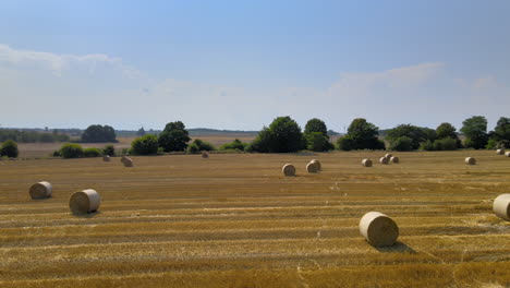 Niedrige-Antenne-Eines-Geernteten-Goldenen-Feldes-Mit-Heuballen,-Die-In-Heißer-Sonne-Trocknen,-Landwirtschaft