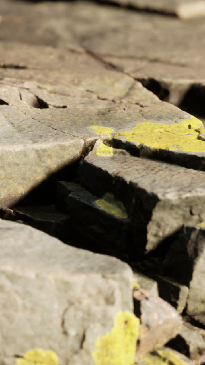 바위와 돌의 근접 시각