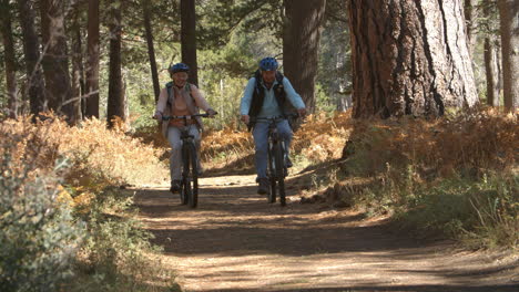 una pareja de ancianos en bicicleta por un sendero forestal, en cámara lenta.